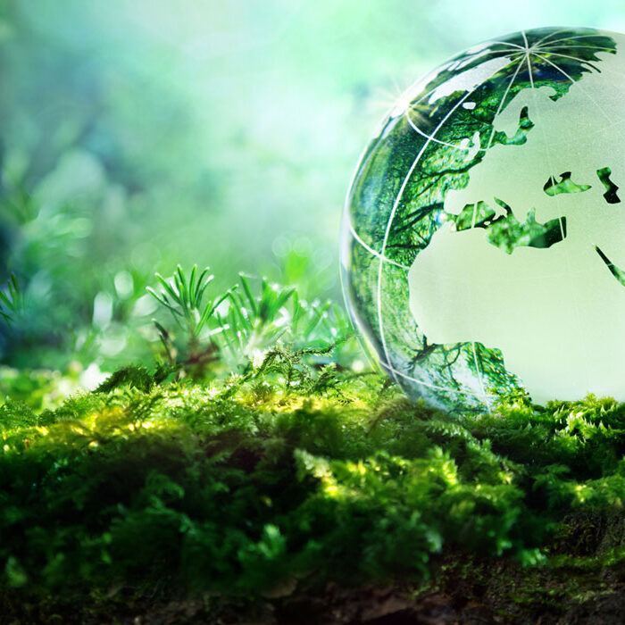 environment lewis bass slider image lewis bass cares